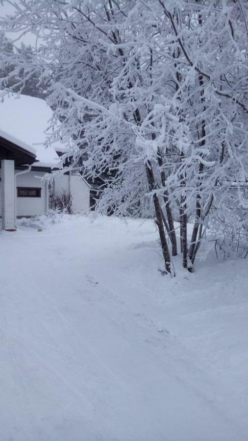 The House Near Santa Park Villa Rovaniemi Eksteriør bilde